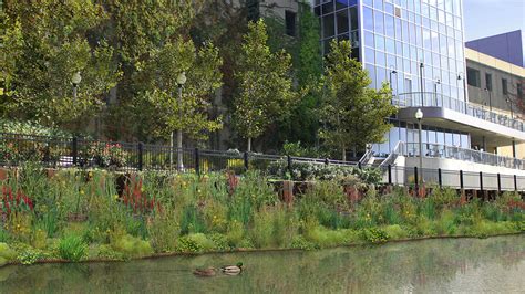 urbanrivers plans  install floating gardens   chicago river  restore  natural wildlife