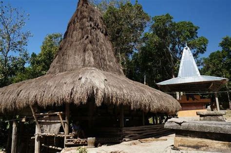intip kemegahan rumah tradisi kampung adat gagah sumba barat national geographic