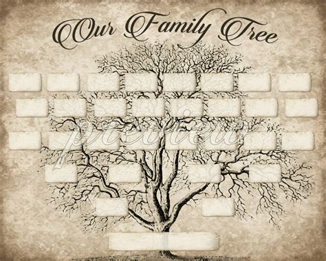 customizable printable family tree template printable templates