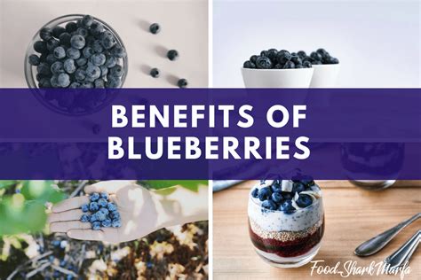 some of the proven health benefits of blueberries food shark marfa
