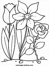 Coloriages Gratuit Nature Fleur Fantastique Rubrique Plantes Adulte Partager Danieguto Printablefreecoloring sketch template