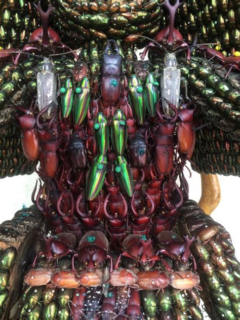 Cool Or Crazy Samurai Armor Made Entirely Out Of Beetles