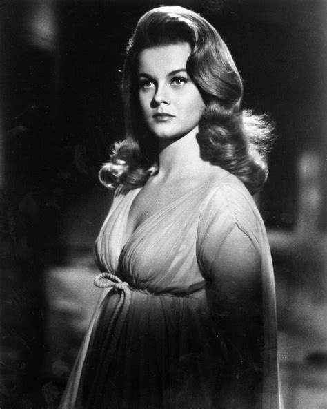 Pin By Vintage Hollywood Classics On Ann Margret Ann