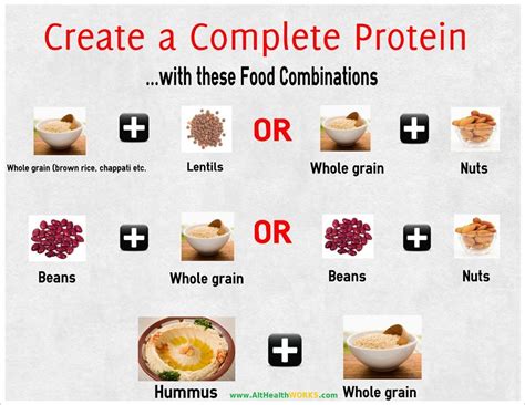 list  high protein foods  weight loss master diet advice