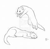 Ferret Coloring Pages Ferrets Drawing Funny Deviantart Printable Getdrawings Realistic Getcolorings Adult sketch template