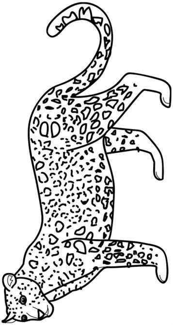 kids  funcom  coloring pages  animals