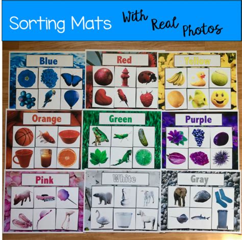 Color Sorting Mats W Real Photos Sorting Mats Color