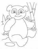 Pandas Pandy Kolorowanki Bestcoloringpages sketch template