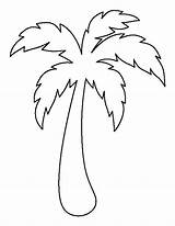 Desenho Palmeira Molde Coqueiro Para Wow Salvo Moldes sketch template