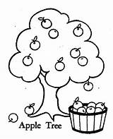 Apple Tree Coloring Pages Fruit Drawing Color Johnny Orchard Appleseed Picking Line Printable Preschool Branch Getdrawings Getcolorings Realistic Popular Print sketch template