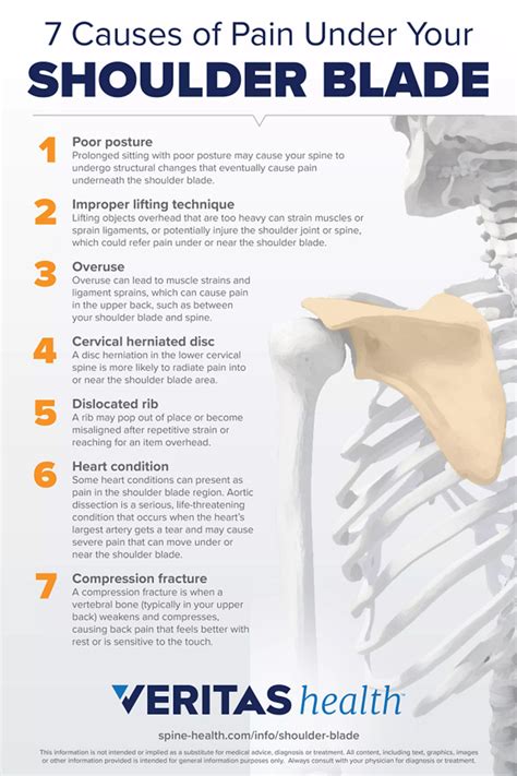 pain   shoulder blade infographic