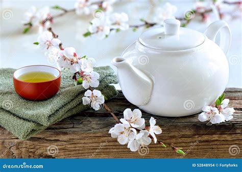 spring spa tea stock photo image  herbal beverage