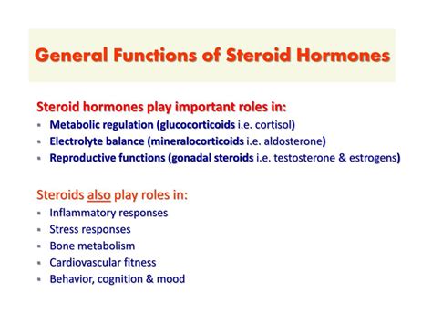 ppt steroid hormones powerpoint presentation free download id 6410063