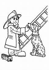 Firefighter Preschoolers Coloring4free Dalmatian Fireman Colouring Getcolorings Letzte sketch template