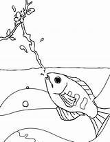 Coloring Fish Archer Pages Kids Archerfish Getdrawings Getcolorings sketch template