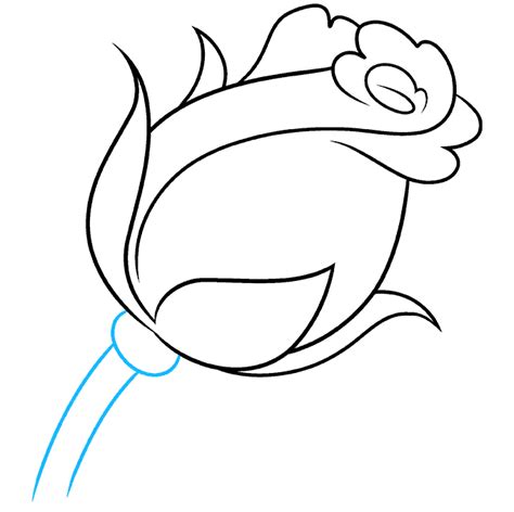 draw  rose bud  easy drawing tutorial
