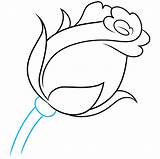 Bud Rose Drawing Draw Step Shape sketch template