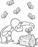 Kartun Mewarnai Curious Monyet Lucu Tokoh Pintar Sindunesia Menggambar Payung sketch template