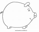 Sparschwein Schweine Ausmalbild Ausmalen Zum Kostenlose sketch template