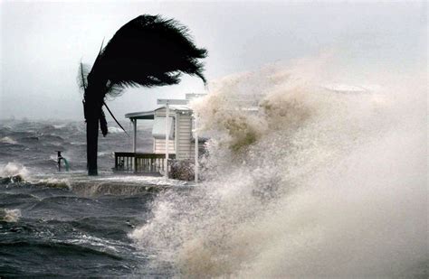 hurricanes earth sciences bibliographies cite