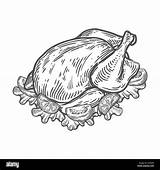 Vector Chicken Duck Roasted Drawn Turkey Grilled Hand Food Sketch Illustration Organic Cartoon Isolated Alamy Tray Vectors Shutterstock Line Shopping sketch template