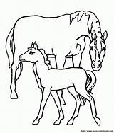 Fohlen Stute Pferde sketch template