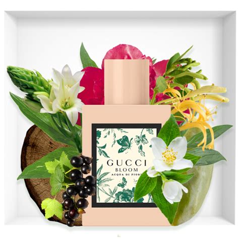 fragrance gucci bloom acqua  fiori reastars perfume  beauty magazine