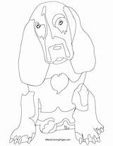 Coloring Hound Basset Pages Blood Bloodhound Dripping Vector Drawing Getcolorings Getdrawings Colorings sketch template