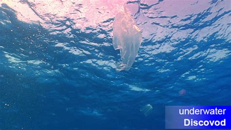 plastic bag floating  ocean  discovod videohive
