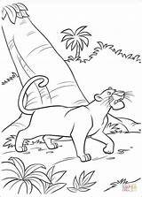 Coloring Pages Bagheera Walking Forest Printable sketch template