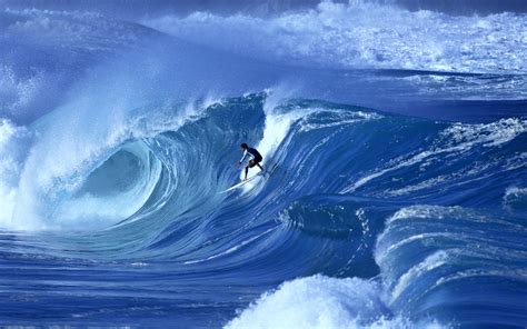 wave surfing sea sports man wallpaper   wallpaperup