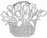 Gambar Mewarnai Tulip Coloring Tulips Putih Sketsa Indah sketch template