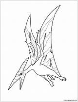 Coloring Pages Pteranodon Pterodactyl Dinosaur Dinosaurs Print Flying Color Baby Colour Printable Popular Hellokids Library Clipart Doghousemusic sketch template
