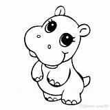 Hippo Cute Hippopotamus Drawing Cartoon Getdrawings Draw Clipartmag sketch template