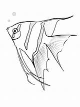 Fish Angel Coloring Angelfish Sketch Pages Drawing Printable Color Print Recommended Coloringbay Getdrawings Getcolorings Sheet Fishing sketch template