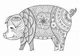 Pig Coloring Pages Book Animal Mandala Adult Outline Colouring Mandalas Drawing Printable Zentangle Ornate Tattoo Sweet Turkey Tattooimages Biz Sheets sketch template