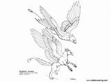 Griffin Coloring Pages Printable Kids Adults Color sketch template