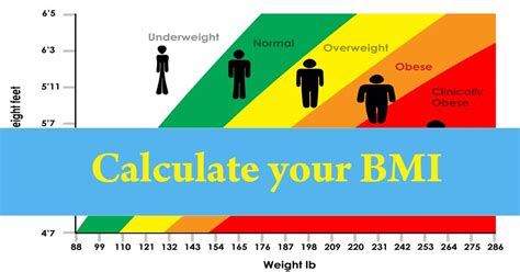 body mass index calculator calculate your bmi here