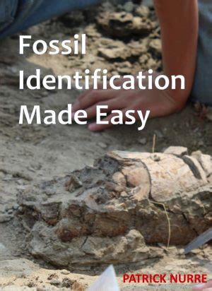 fossil identification  easy  book homeschool curriculum fair