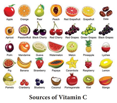 vitamins characteristics functions classification absorption food