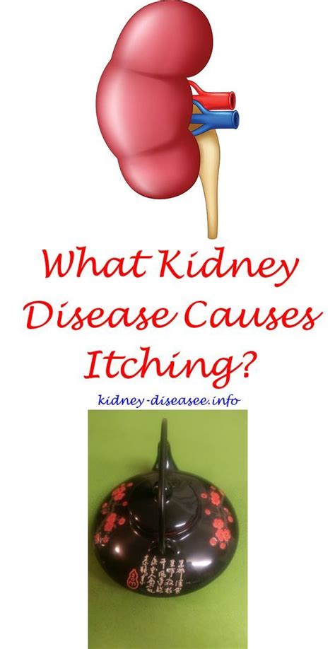 kidney disease  hair loss kidney disease symptoms