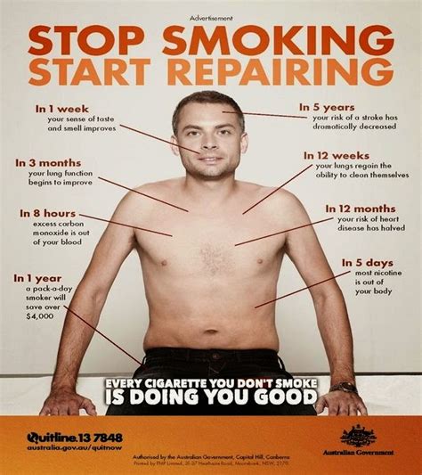 8 hours after quitting smoking … what happens to your body wise diaries