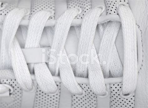 white shoelace stock  freeimagescom