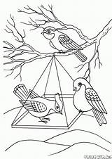 Ptaki Kolorowanki Zima Feeder Kolorowanka Vögel Roku Pory Invernale Colorkid الطيور sketch template