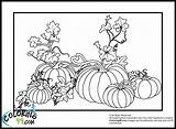 Coloring Pumpkin Pages Jesus Patch Shine Light Printable Pumpkins Template Popular sketch template