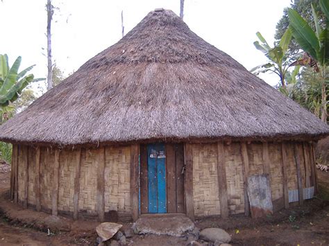 rumah adat papua budaya indonesia