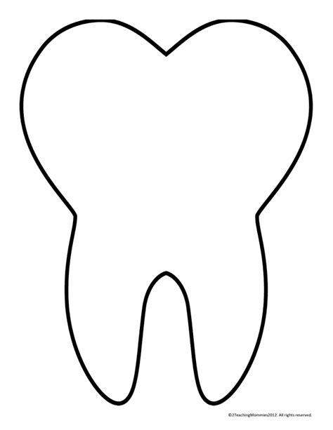 tooth templatepdf teeth dentist doctor dental health