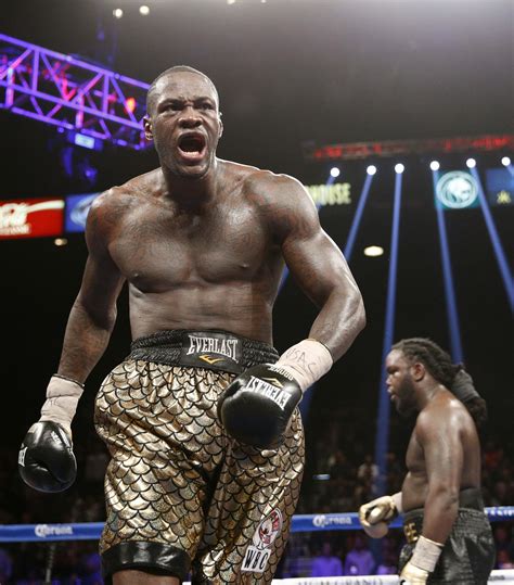 wbc heavyweight champion deontay wilder discovered boxing