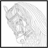 Coloring Pages Peruvian Getcolorings Horse Books sketch template