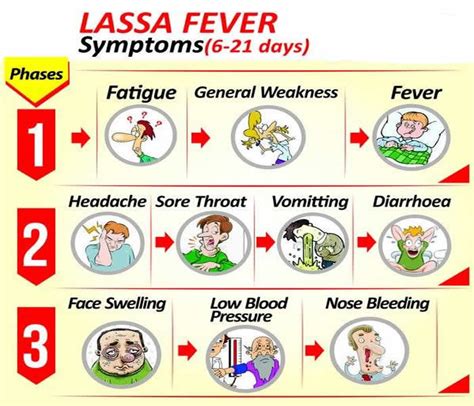 lassa fever causes symptoms treatment diagnosis and